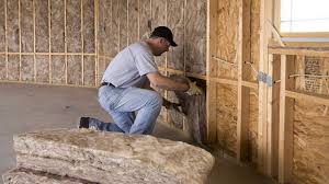 Best Wall Insulation Installation  in Garfield Heights, OH